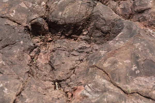 Vue Des Empreintes Dinosaures Fossilisées Laissées Par Groupe Dinosaures Lézards — Photo