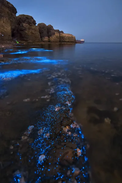 2018年5月7日 中国东北辽宁省大连市小海石村 一片藻华照亮了海水 在海岸上发光蓝色 — 图库照片