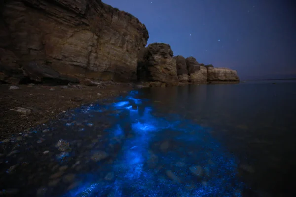 2018年5月21日 中国东北辽宁省大连市沿海的一股鞭毛虫聚集 海水发光蓝色 — 图库照片