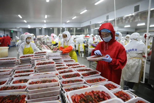 Chinese Crawfish Taster Yunxiao Observes Crawfish Factory Qianjiang City Central — Stock Photo, Image