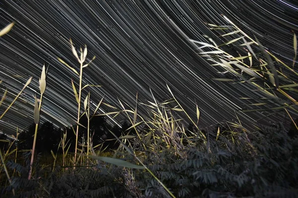 Paisaje Del Cielo Estrellado Sobre Desierto Taklamakan Condado Luntai Prefectura —  Fotos de Stock