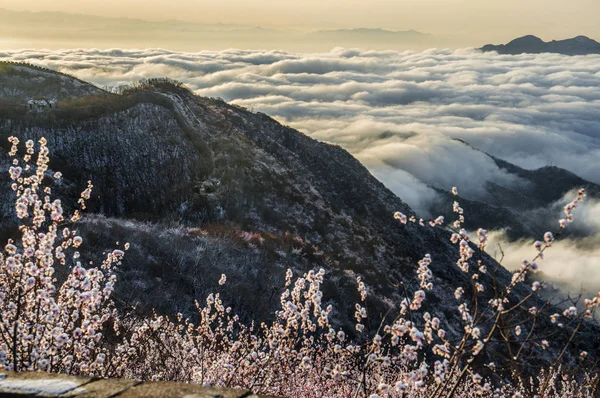 Landscape Jiankou Great Wall Surrounded Sea Cloud Spring Snow Beijing — Stock Photo, Image