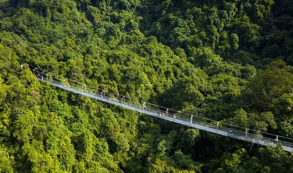 Cam Popolu Bir Asma Köprü 199 Metre Maksimum Rongshui Miao — Stok fotoğraf