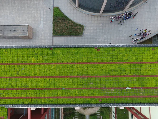 Flygfoto Över Taket Grönare Byggnader Zhengdong Nya Område Zhengzhou Staden — Stockfoto