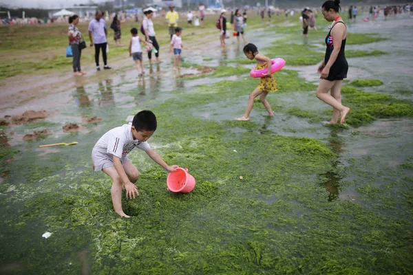Chinesische Touristen Spielen Mit Grünalgen Gefüllten Meerwasser Einem Strand Der — Stockfoto