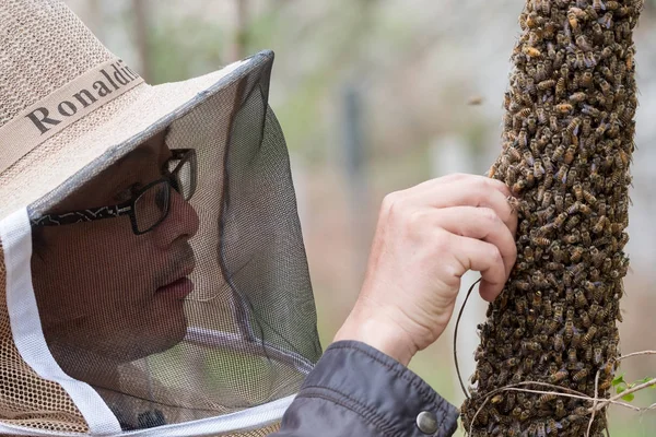 Biodlare Letar Efter Drottningen Bee Kinas Största Cliff Stil Bigården — Stockfoto