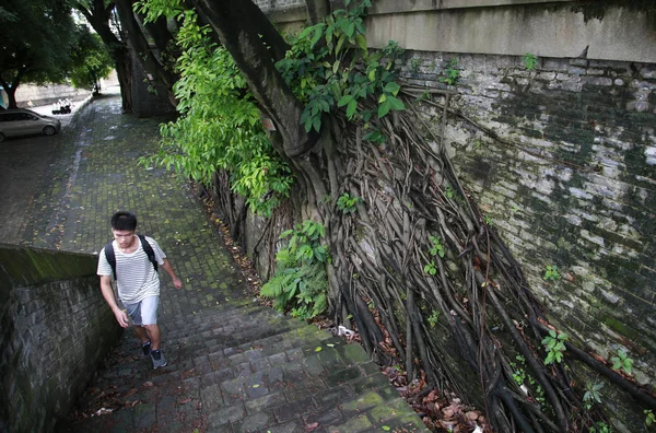 Büyük Bir Bölümünü Geri Qing Hanedanı Nanning City Güney Çin — Stok fotoğraf