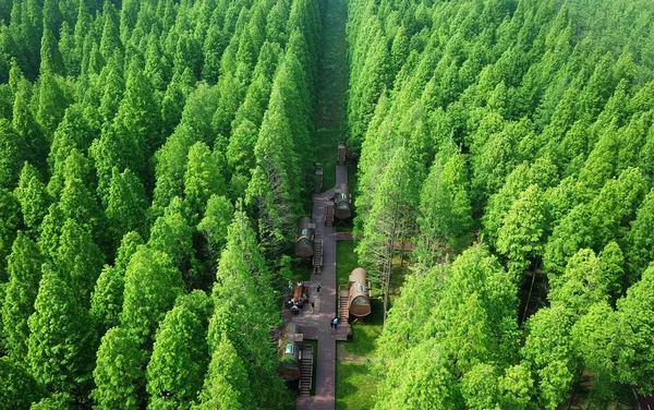 Воздушный Пейзаж Национального Лесного Парка Хуанхай Национального Лесного Парка Желтое — стоковое фото