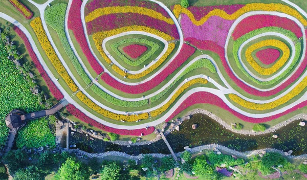 Krajobraz Tarasowych Pól Kwiaty Pełnym Rozkwicie Zhou Green Expo Garden — Zdjęcie stockowe