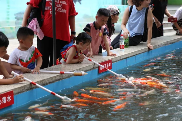 Туристы Используют Детские Бутылочки Наполненные Рыбной Пищей Прикрепленной Палочкам Накормить — стоковое фото