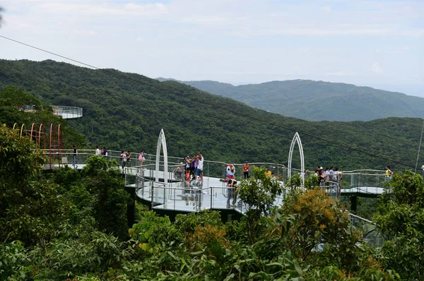 Los Turistas Caminan Por Una Pasarela Fondo Cristal Parque Forestal —  Fotos de Stock