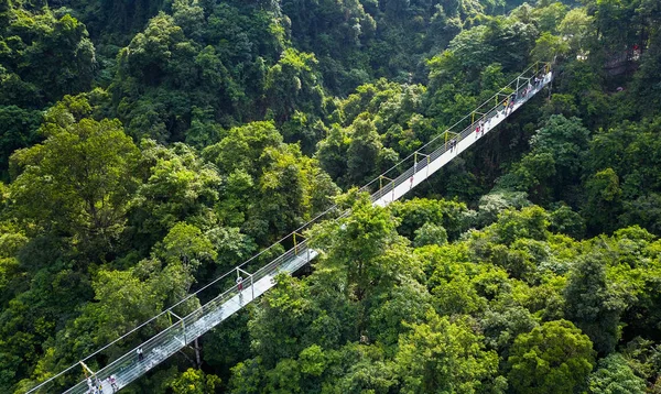 Vista Aérea Uma Ponte Suspensa Fundo Vidro Com Comprimento 199 — Fotografia de Stock