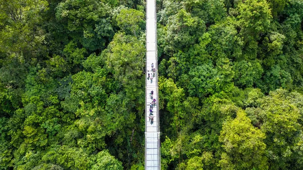 Widok Most Wiszący Szklanym Dnem Długości 199 Maksymalnej Wysokości Lasu — Zdjęcie stockowe
