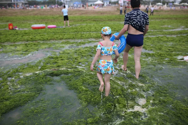 Turistas Chinos Juegan Agua Mar Llena Algas Verdes Una Playa — Foto de Stock