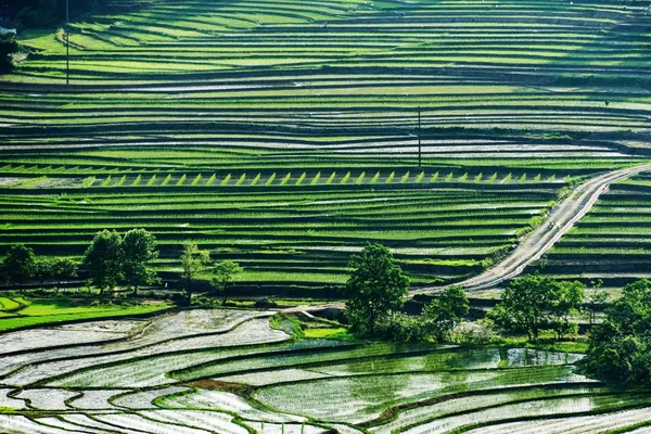 Landscape Terraced Rice Fields Suichuan County City East China Jiangxi — Stock Photo, Image