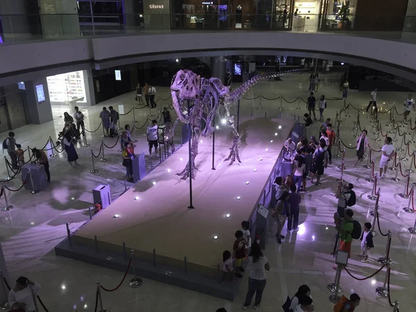 2018年6月18日 中国香港Ifc购物中心的 见面T Rex 期间展出了一具真正的暴龙雷克斯化石骨架 — 图库照片