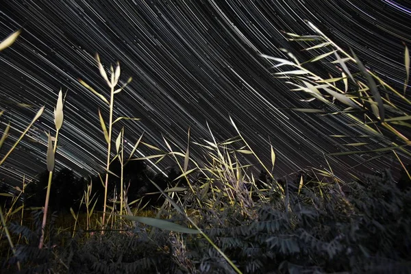 Paisaje Del Cielo Estrellado Sobre Desierto Taklamakan Condado Luntai Prefectura —  Fotos de Stock