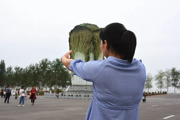 Turista Představuje Pro Kreativní Fotografie Plastikou Tvaru Čínské Zelí Handan — Stock fotografie