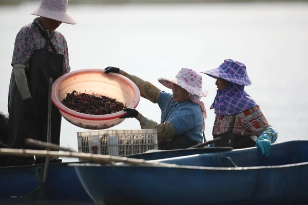 Chinesische Bauern Fangen Flusskrebse Die Während Der Weltmeisterschaft 2018 Russland — Stockfoto