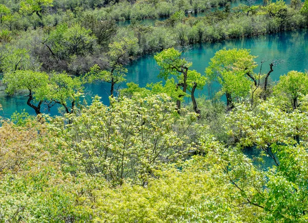 Landschap Van Shuzheng Waterval Herwinnen Van Haar Schoonheid Jiuzhaigou Vallei — Stockfoto
