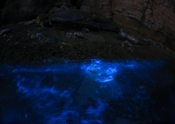 Een Algenbloei Van Dinoflagellaten Verlicht Zee Water Gloeiende Blauwe Aan — Stockfoto