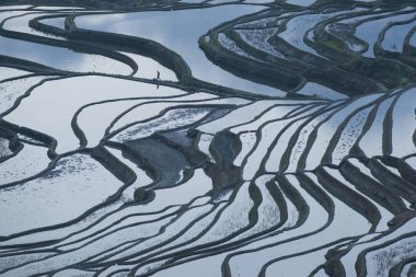 Landscape of terraced rice fields of the Yuanyang rice terraces in the morning mist in Yuanyang county, Honghe Hani and Yi Autonomous Prefecture, southwest China's Yunnan province, 27 February 2018. clipart