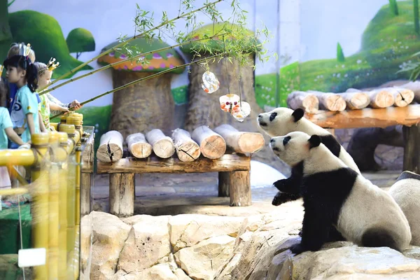 Óriás Panda Etetik Jég Labdákat Gyerekek Segítségével Bambusz Botokkal Panda — Stock Fotó