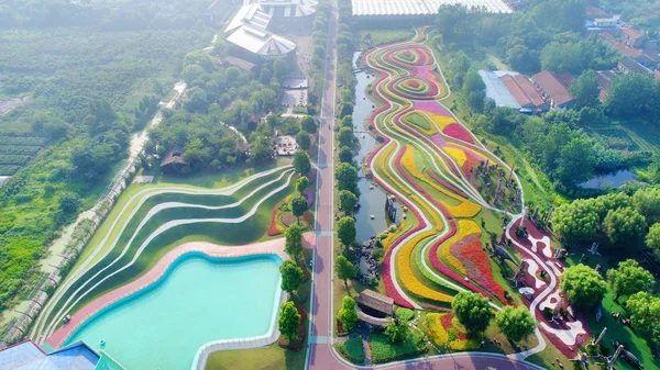 Táj Teraszos Mezők Virágok Teljes Virágzás Zhou Zöld Expo Garden — Stock Fotó