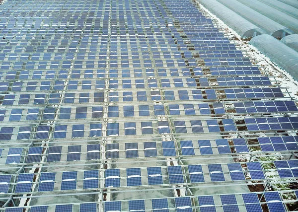 Vista Aérea Primeira Estufa Agrícola Fotovoltaica Nantong Cidade Nantong Província — Fotografia de Stock