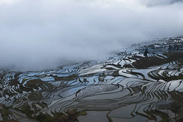 Paisaje Campos Arroz Terrazas Las Terrazas Arroz Yuanyang Niebla Mañana — Foto de Stock