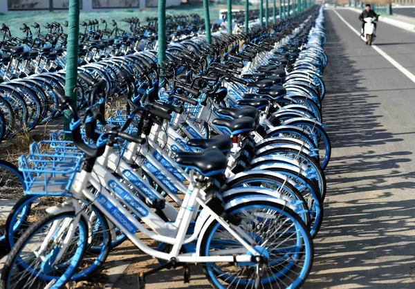 Hellobike と他の中国の自転車共有サービスの自転車は キロメートル長い歩道と 2018 日中国中部の河南省洛陽市で木山に並んでいます — ストック写真