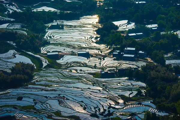 Paisagem Campos Terraços Após Rotação Culturas Condado Xuyong Cidade Luzhou — Fotografia de Stock