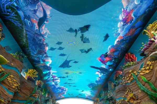 Ansicht Eines Riesigen Led Bildschirms Mit Videos Von Meereslebewesen Schimelong — Stockfoto