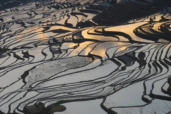 Paisagem Dos Campos Arroz Socalcos Dos Terraços Arroz Yuanyang Névoa — Fotografia de Stock