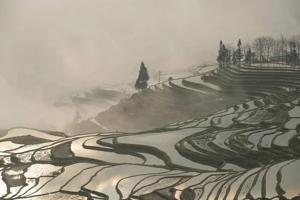 Teraslı Pirinç Tarlaları Yuanyang Pirinç Terasları Sabah Sis Içinde Yuanyang — Stok fotoğraf