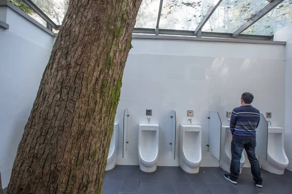 Vue Intérieure Arbre Une Largeur Deux Mètres Croissant Intérieur Des — Photo