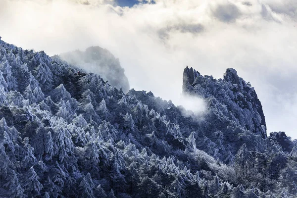 Paisaje Árboles Cubiertos Rimas Lugar Escénico Montaña Huangshan Ciudad Huangshan — Foto de Stock