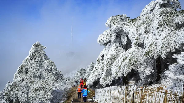 観光客は黄山市 東中国安徽州の黄山山の風光明媚な場所で韻で覆われた木々を楽しむ 月2018 — ストック写真