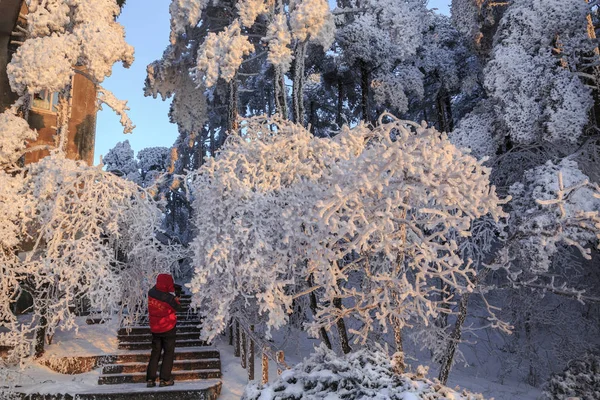 Návštěvník Sněžení Horské Scenerii Huangshan Huangšském Městě Východě Čínské Provincie — Stock fotografie