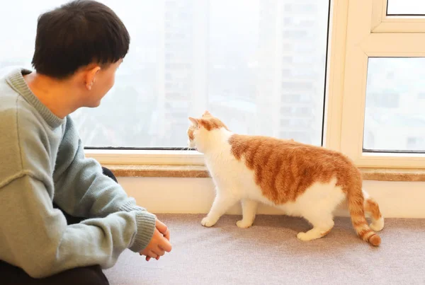 Estudante Sênior Chinês Xiao Yang Universidade Zhejiang Cuida Gato Cidade — Fotografia de Stock