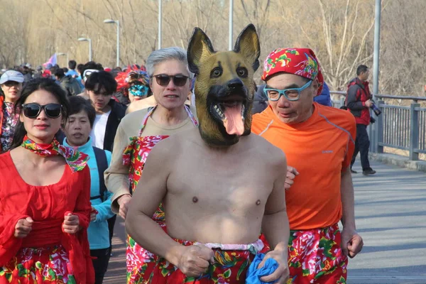 Participante Con Una Máscara Forma Perro Participa Séptimo Evento Undie —  Fotos de Stock