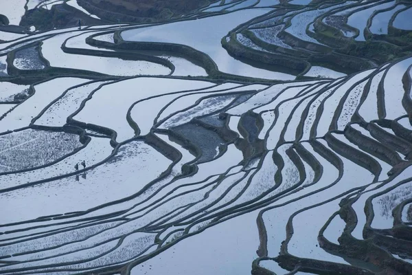 Paisaje Campos Arroz Terrazas Las Terrazas Arroz Yuanyang Niebla Mañana — Foto de Stock