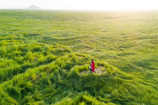 Los Turistas Caminan Sobre Cauce Cubierto Hierba Del Lago Poyang — Foto de Stock