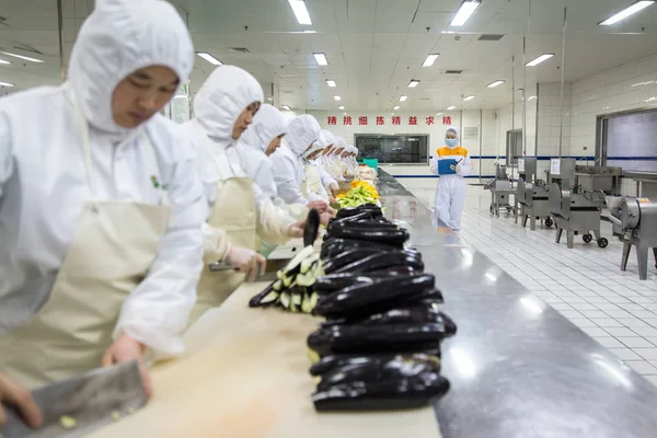 Kinesisk Arbetare Patruller Som Andra Skära Upp Grönsaker Livsmedels Fabrik — Stockfoto