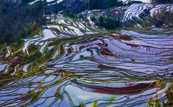 Paisagem Dos Campos Arroz Terraços Dos Terraços Arroz Honghe Hani — Fotografia de Stock