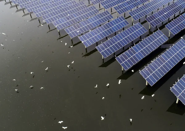 Вид Воздуха Большую Солнечную Электростанцию Объединяющую Аквакультуру Чистой Выработкой Электроэнергии — стоковое фото