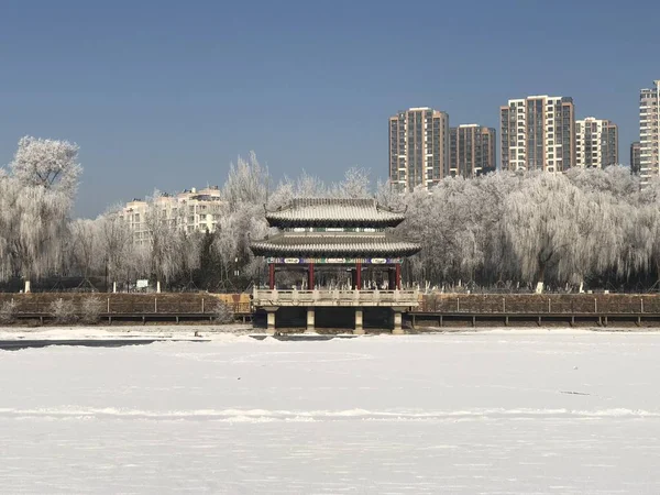Rime Covered Trees Pictured Frozen River Shenyang City Northeast China — Stock Photo, Image