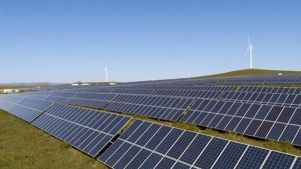 File Solar Panelek Vannak Telepítve Egy Fotovoltaikus Erőmű Panda Green — Stock Fotó