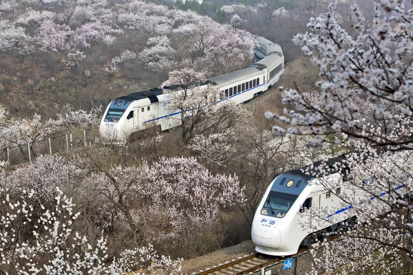 Los Trenes Bala Crh China Railway High Speed Viajan Través — Foto de Stock