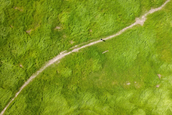 Veduta Aerea Del Letto Erboso Del Lago Poyang Colpito Dalla — Foto Stock